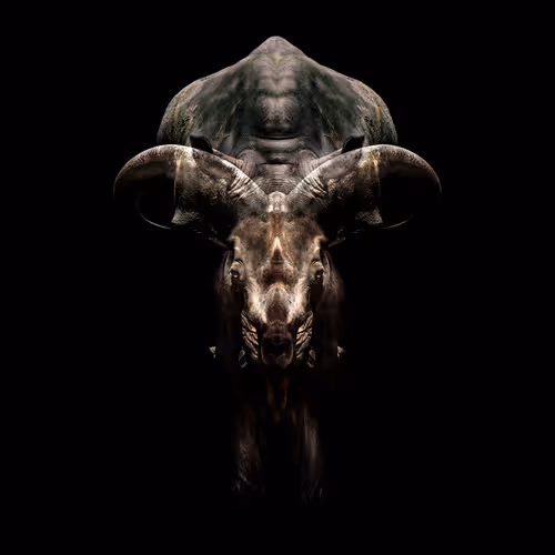 fiction  non-fiction