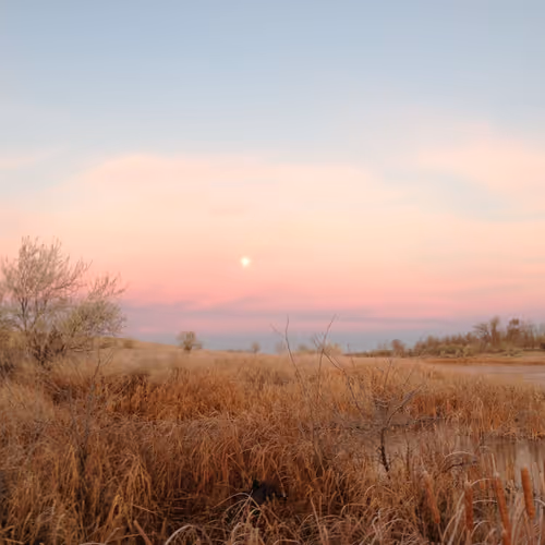 tuggy’s first contract