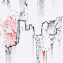 #243