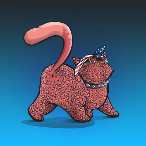 The Kittybutts
