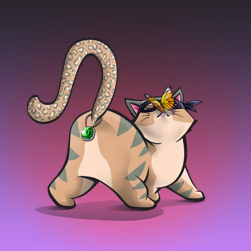 The Kittybutts