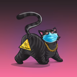 KittyButt #9926