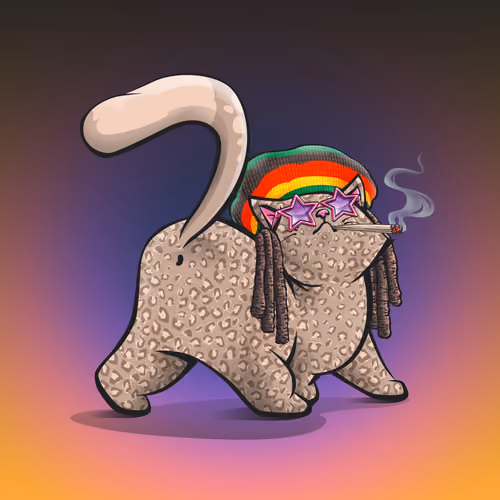 KittyButt #5554