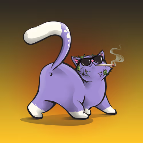 The Kittybutts