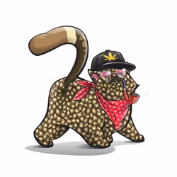 KittyButt #9481