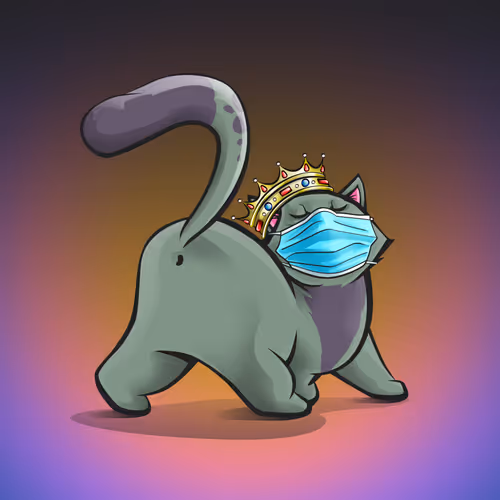 The Kittybutts