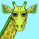 |Hedz| Giraffe