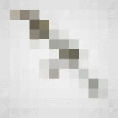 Item #63 Media