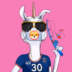 Bullish Llama #4163