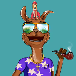 Bullish Llama #9354