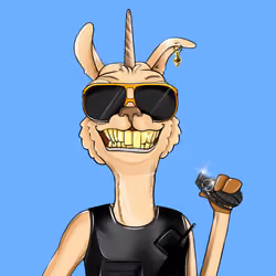 Bullish Llama #2634