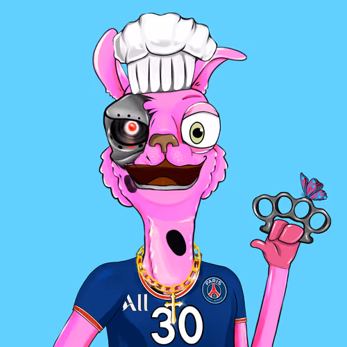 Bullishllama