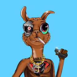 Bullish Llama #2572
