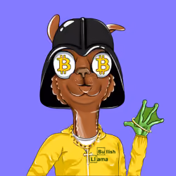 Bullish Llama #5650
