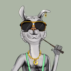Bullish Llama #9972