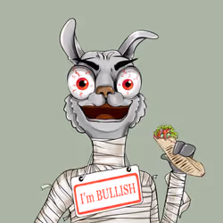 Bullish Llama #9711