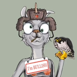 Bullish Llama #8871