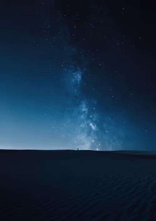 Item #6000200008 Media