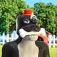 3556