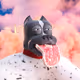 2520