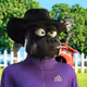 6037