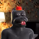 8294