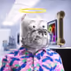 1586