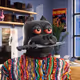 6097