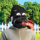 2773