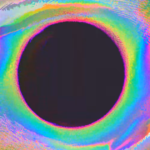 Thru the Eyes of the Machine