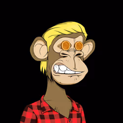 51