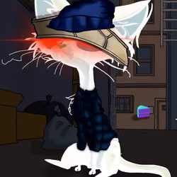 KronicKat #797