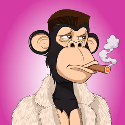 Exotic Apes #1649