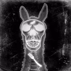 Llama #4759