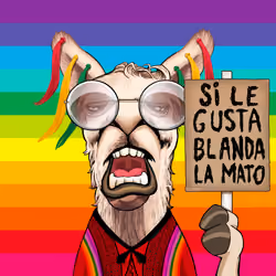 Llama #2897