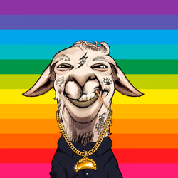 Llama #7128