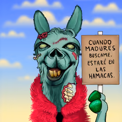 Llama #8811