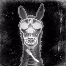 Llama #8988