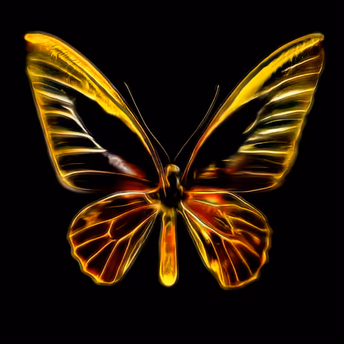 Metanoia 5