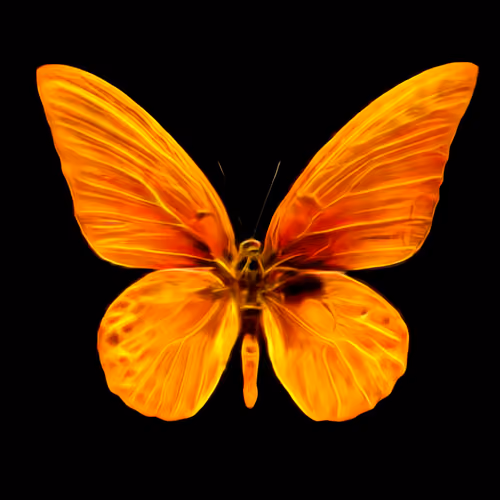 Metanoia 43
