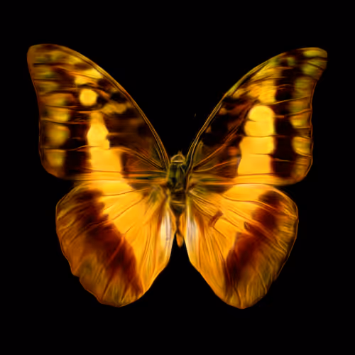 Metanoia 9