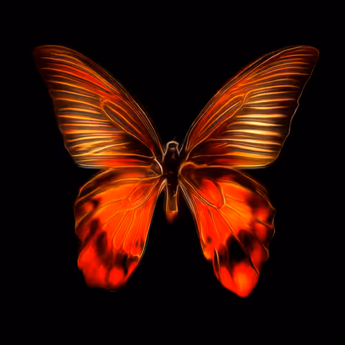Metanoia 14