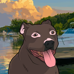 29