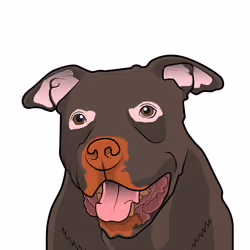 17