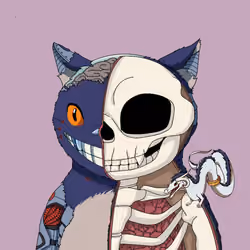 Kitaro Anatomy #5688