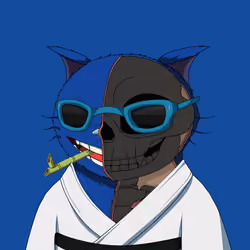 Kitaro Anatomy #5646