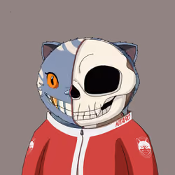 Kitaro Anatomy #802