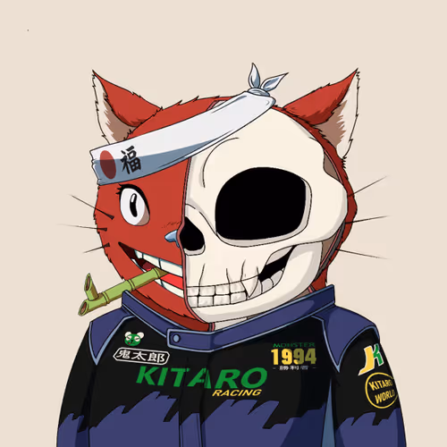 Kitaro Anatomy
