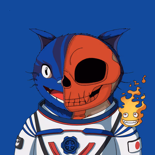 Kitaro Anatomy