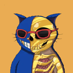 Kitaro Anatomy #5236